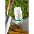 Fields Of Greens (80 compresse)